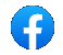FB Logo for FB link
