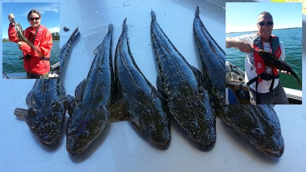 Flathead caught at Lake Tyers BEach