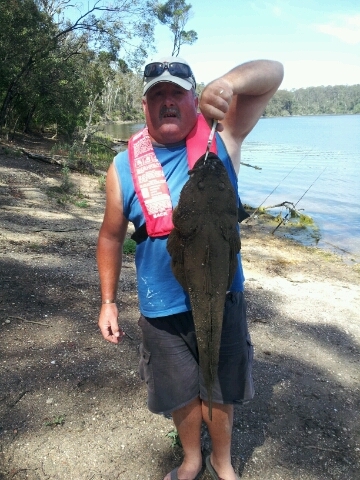 Flathead at Lake Tyers Beach - No Fuss Guss