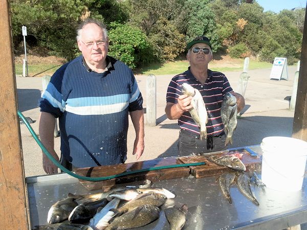 Flathead and Bream at Lake Tyers Beach - Ray and Peter