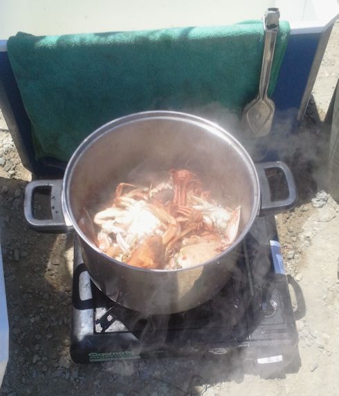 Cooking crabs at Lakes Entrance