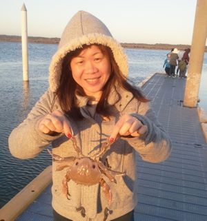 Sand Crab at Lake Tyers Nos2 Boat Ramp