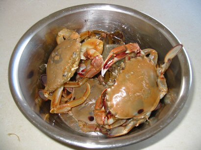 Crabs ready for cooking at Lake Tyers Beach