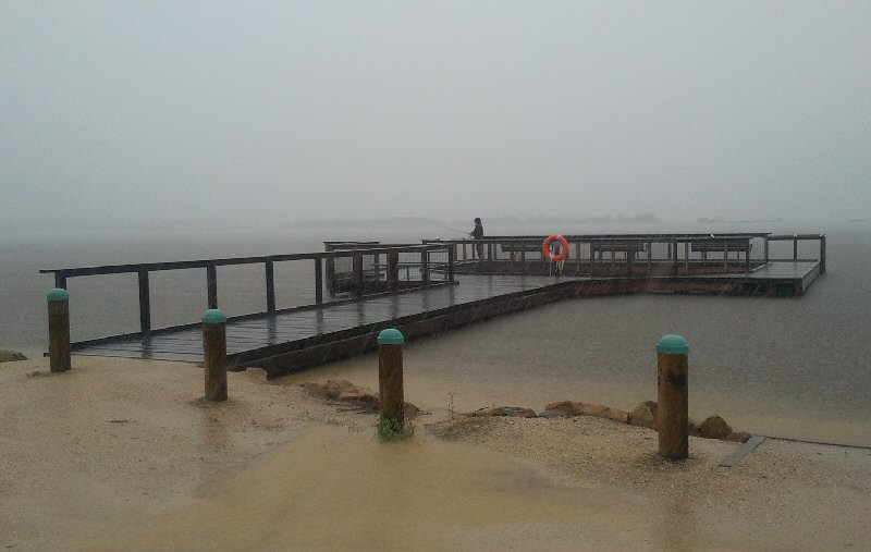 Fisher in the Big Wet at Mallacoota