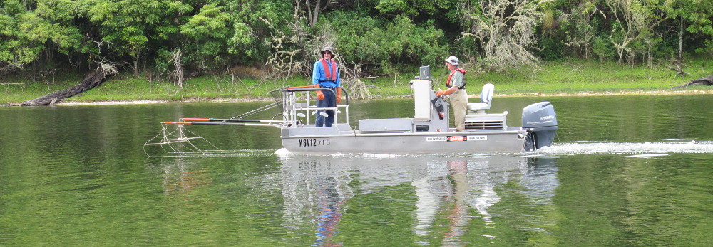 Electro Fish Surveying at Lake Tyers