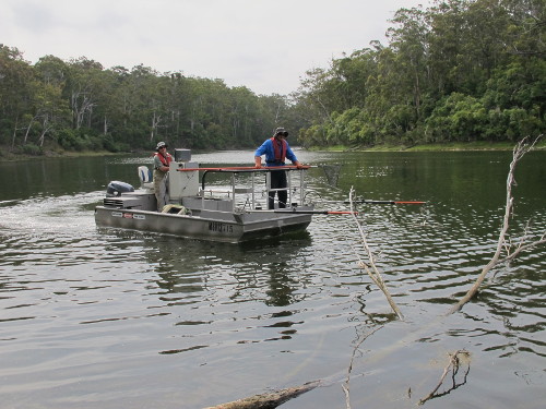 Electro Fish Surveying in Lake Tyers