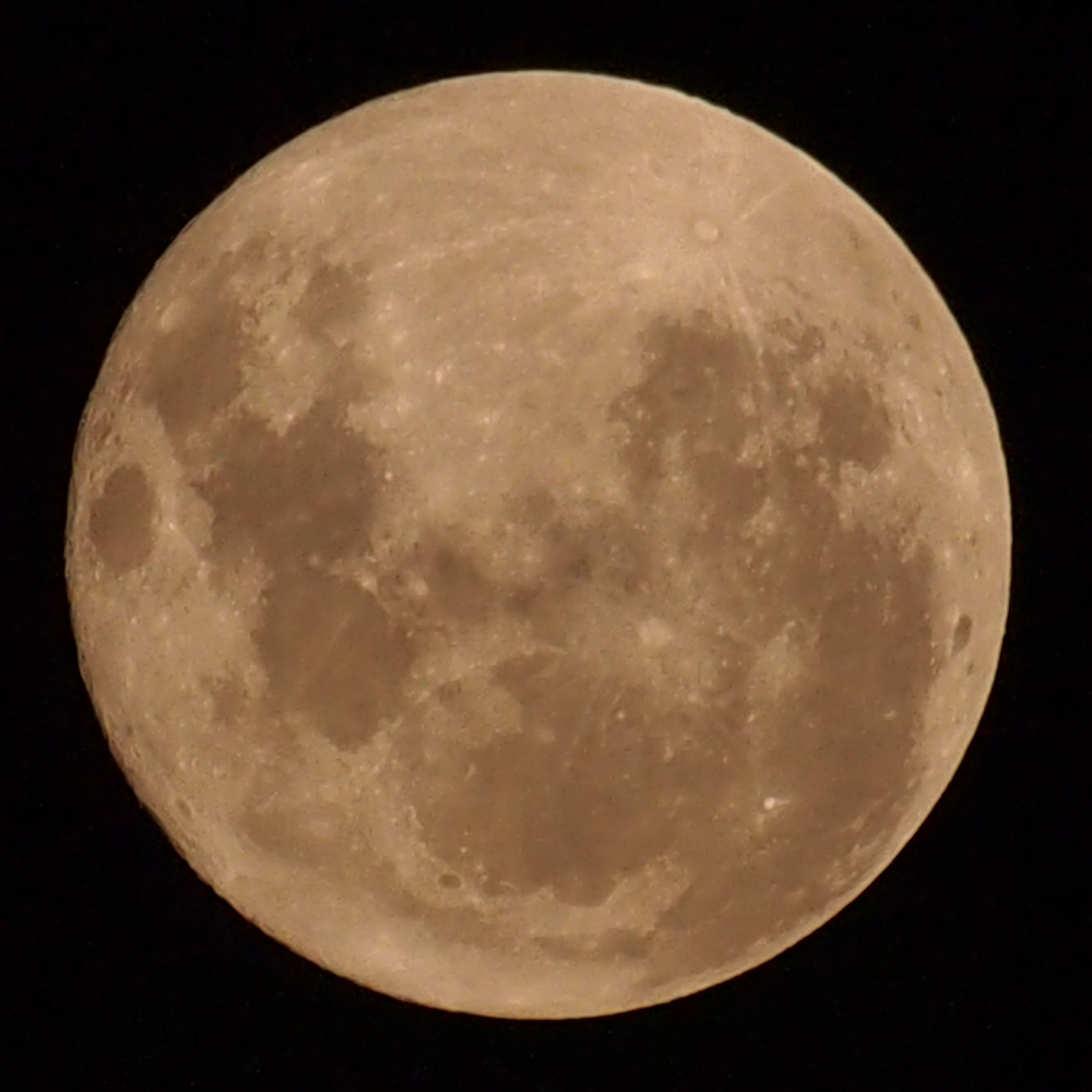 Moon in bushfire season by Frank Flynn, Sunday, 16 February 2014 7:41 PM