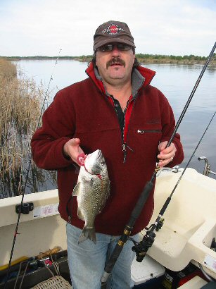 Black Bream www.laketyersbeach.net.au