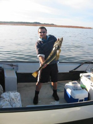 Flathead at Lake Tyers