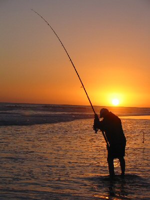 Surf Fishing Friday Evening after work!