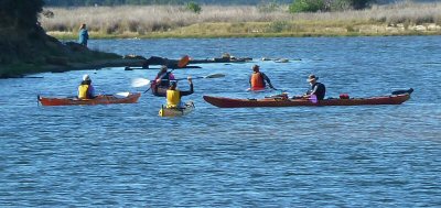 Canoes returning to Trident Arm