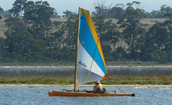 Hobie Adventure Island Frank Morton