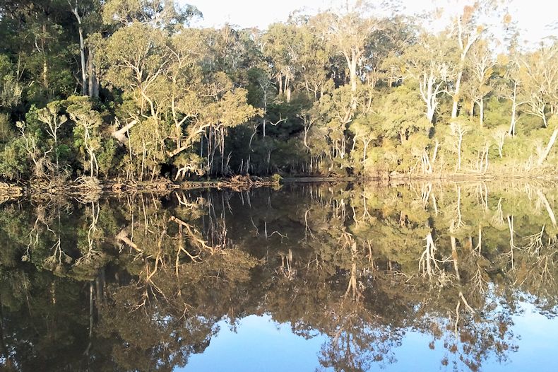 Reflections at Lake Tyers