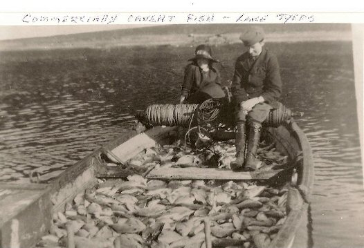 Commercial Fishing Lake Tyers