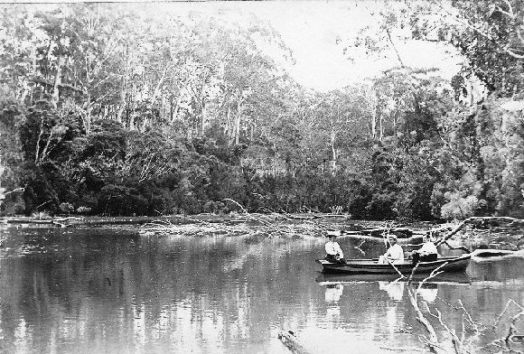 Boating on lake Tyers