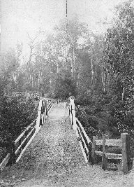 Toorloo Arm Bridge