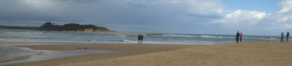 Wide view of the opening several days after at Lake Tyers Beach 12th Sep