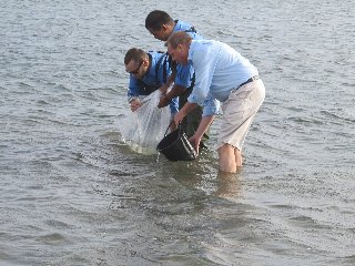 Tim Bull MLA and Chris Setio releasing the last prawns