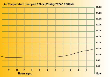 Temperature Graph last 12 Hrs