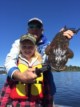 Early Flathead in 2016/2017 season Lake Tyers Beach