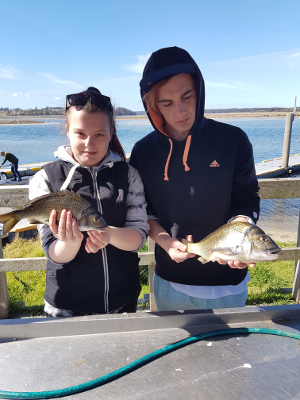 Early catches of Bream