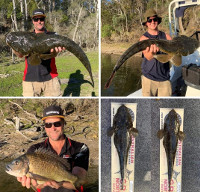 Dusty Stalker on Lake Tyers, Oct 2019